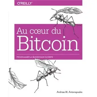 Au coeur du bitcoin