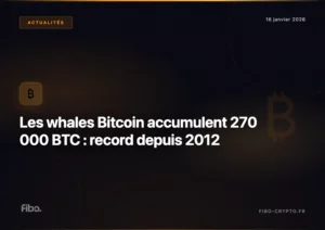 Les whales Bitcoin accumulent 270 000 BTC : le plus gros achat depuis 2012