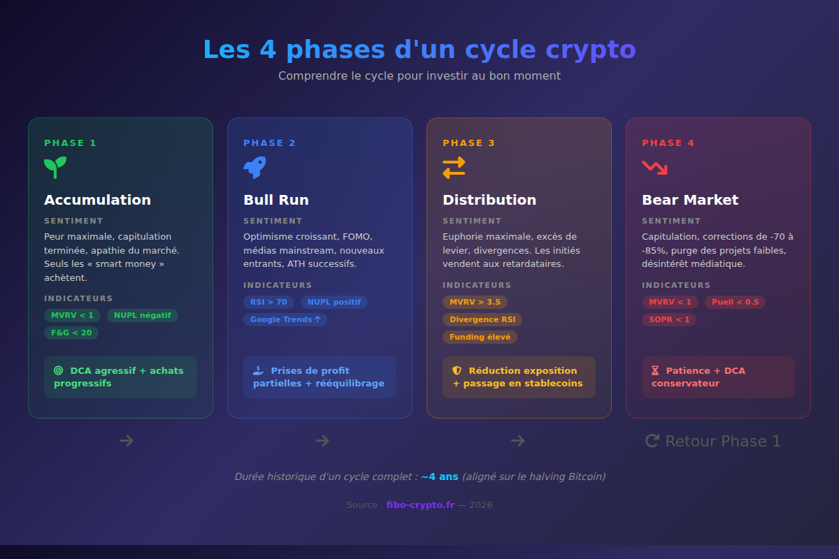Les 4 phases d'un cycle crypto : accumulation, bull run, distribution, bear market