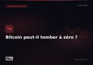 Bitcoin peut-il tomber à zéro ? Analyse complète des scénarios